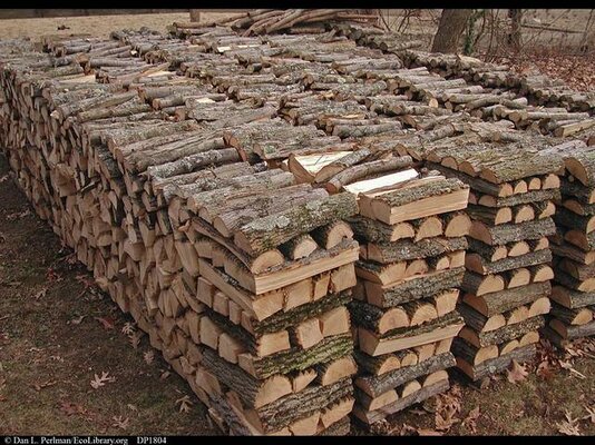 Firewood_pile_DP1804.jpg