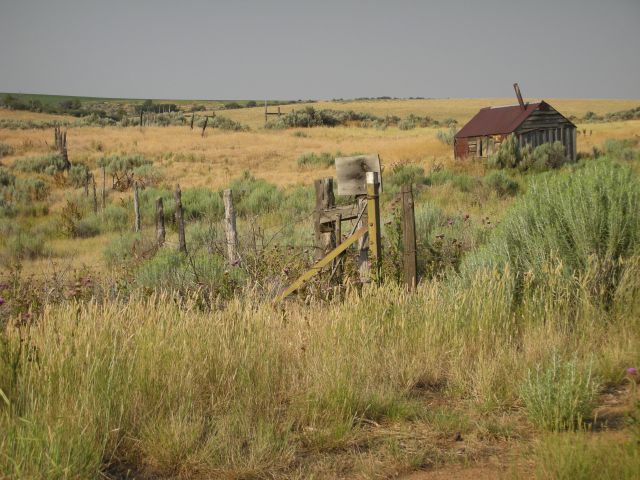 07Yellowstone%20168.jpg