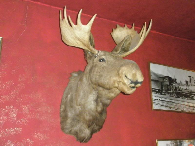 127Bullwinkle.jpg