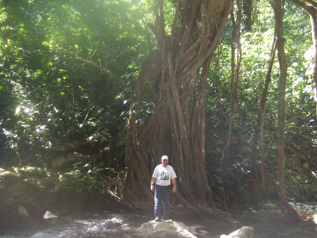 2008_0325Xilitla0030.jpg