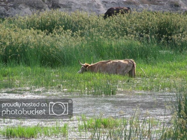 2016%20CDR%20097-Mimbres%20NM%20to%20BeaverHead%20NM.jpg