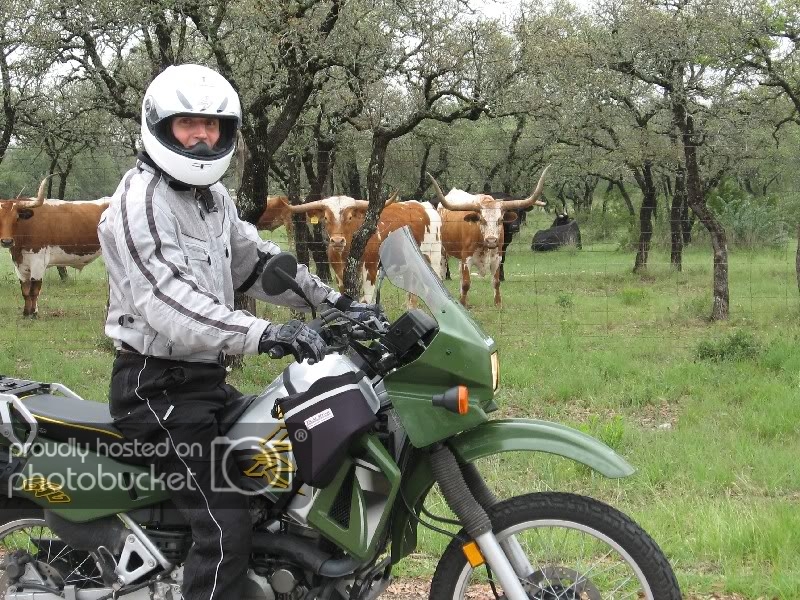 4PaulandLonghorns.jpg