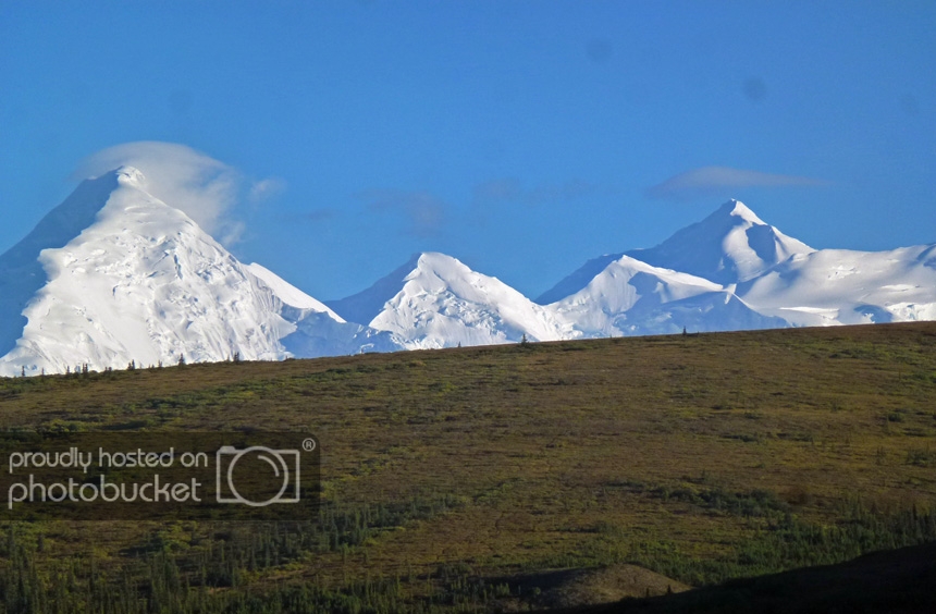 Alaska_denali_03_zps1d876ae2.jpg