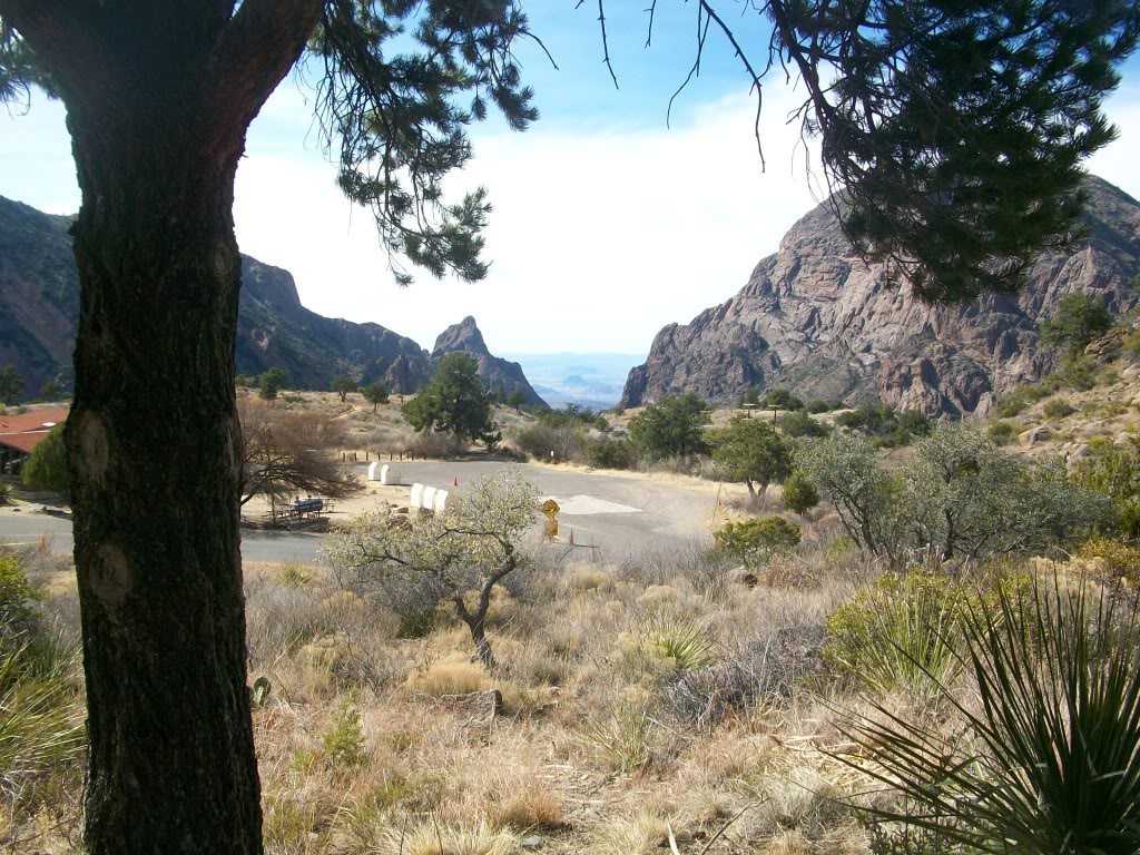 BigBend2010037.jpg