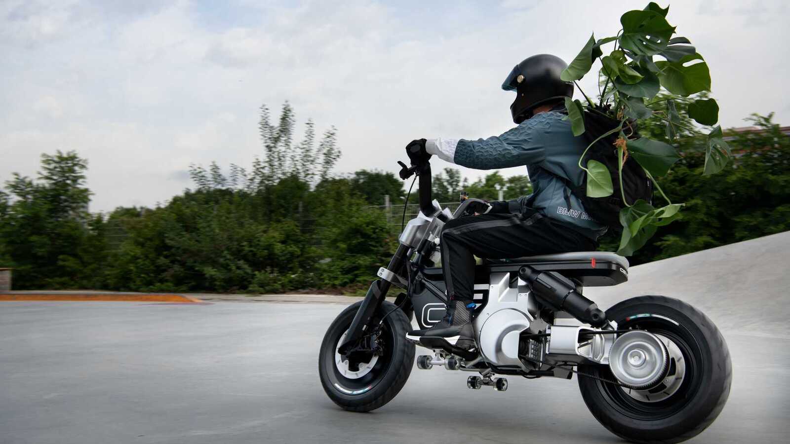 ce-02---left-side-riding-with-plant-and-skateboard.jpg