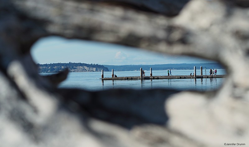 Driftwood2_Mukilteo7-6-2016-L.jpg