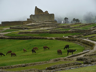 Ecuador%2B-%2B1822.jpg