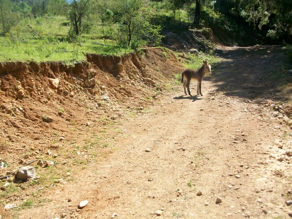 Mextrek2009158.jpg