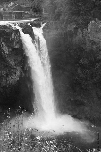 SnoqualmieFalls2_7-9-2016-L.jpg