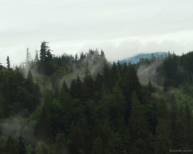 SnoqualmieFalls3_7-9-2016-L.jpg