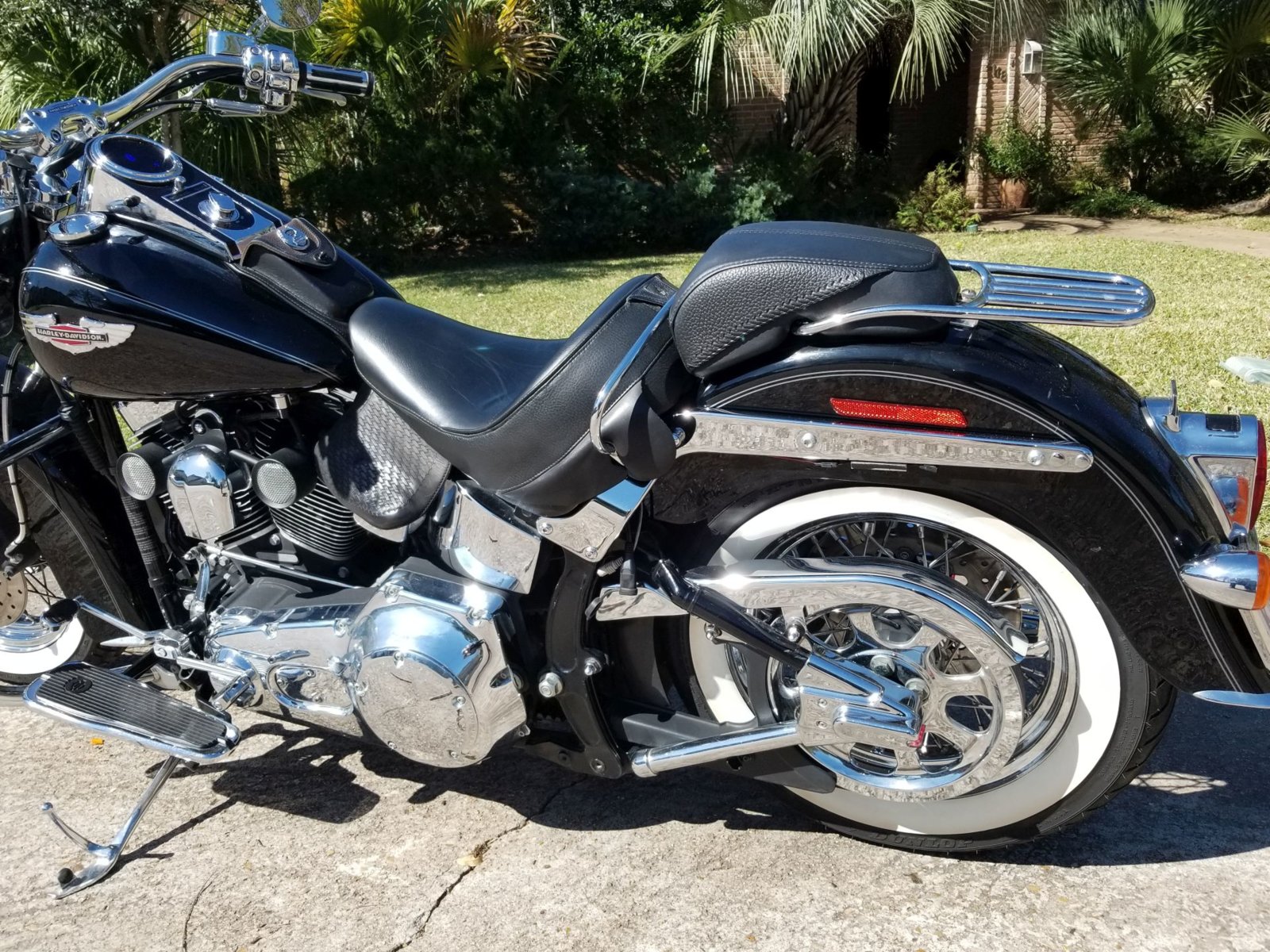 Softail Left Rear.jpg