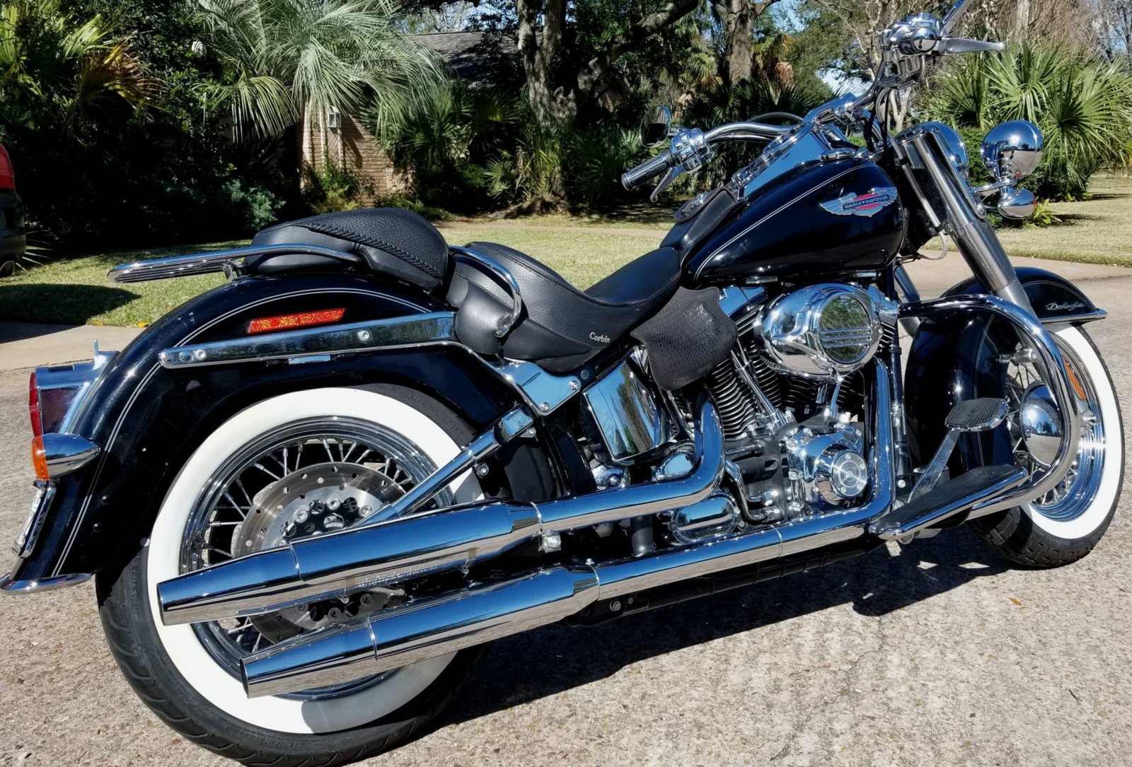 Softail right rear.jpg