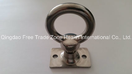 Ss-Eye-Bolt-with-T-Nut.jpg