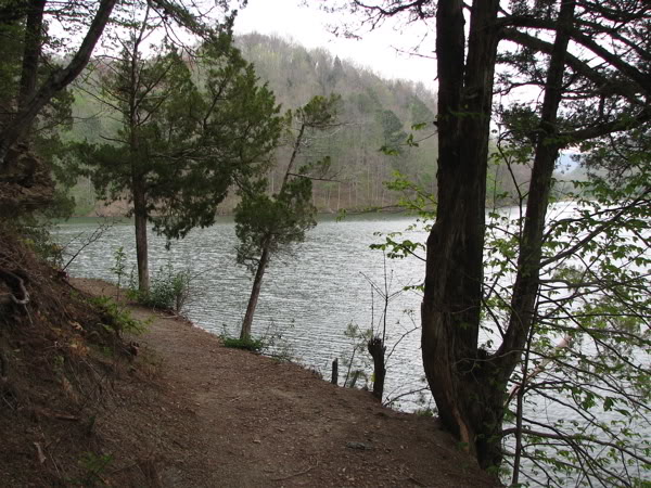 trail1.jpg