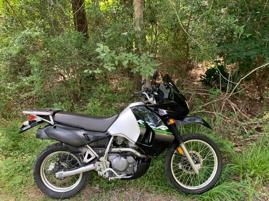 KLR woods left 2.jpg