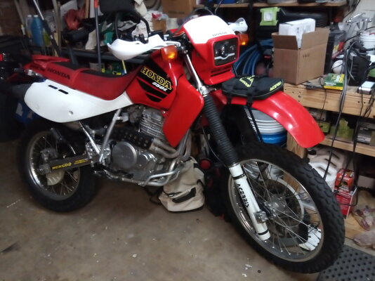 XR650 SIDE.jpg