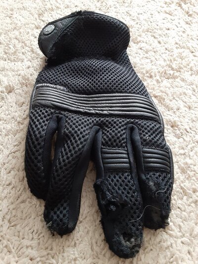 20 - Riding gloves.jpg